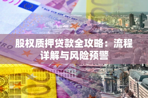 北京股权质押贷款全攻略：流程详解与风险预警