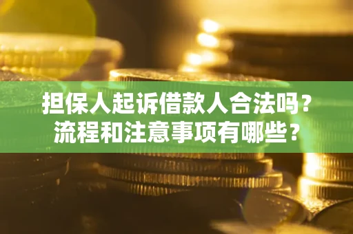 北京担保人起诉借款人合法吗？流程和注意事项有哪些？