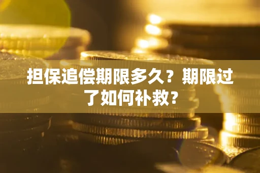 北京担保追偿期限多久？期限过了如何补救？