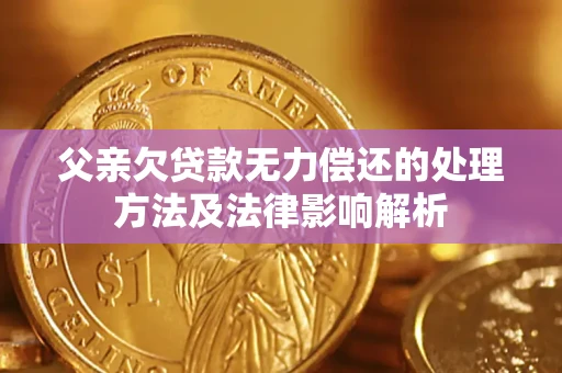 北京父亲欠贷款无力偿还的处理方法及法律影响解析