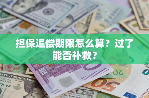 北京担保追偿期限怎么算？过了能否补救？